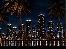 Miami skyline at night